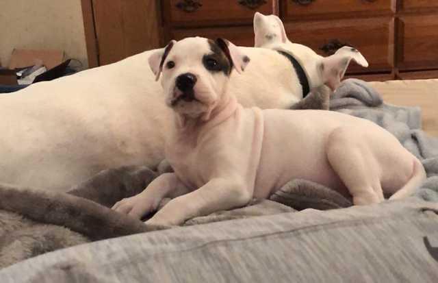 166938344 10220676263842053 3466216501718689767 n