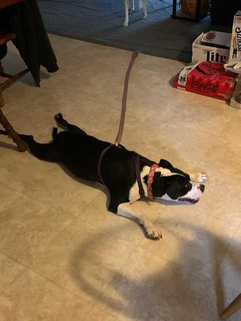 298419843 10223310456055212 1450407823489263820 n