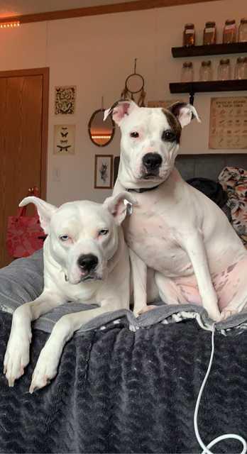 301505611 10223386490596028 501195177091005274 n