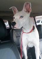 17504394 10209353833908381 68406017095770450 o