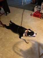 298419843 10223310456055212 1450407823489263820 n